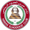 Team logo